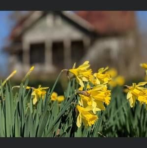 Meet your Posher, Alliene